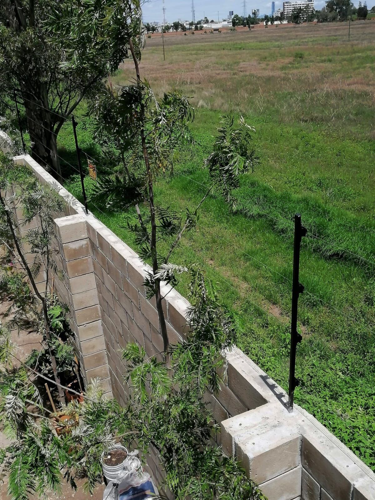 Muro de ladrillos con postes de cerca eléctrica negros y campo verde al fondo.