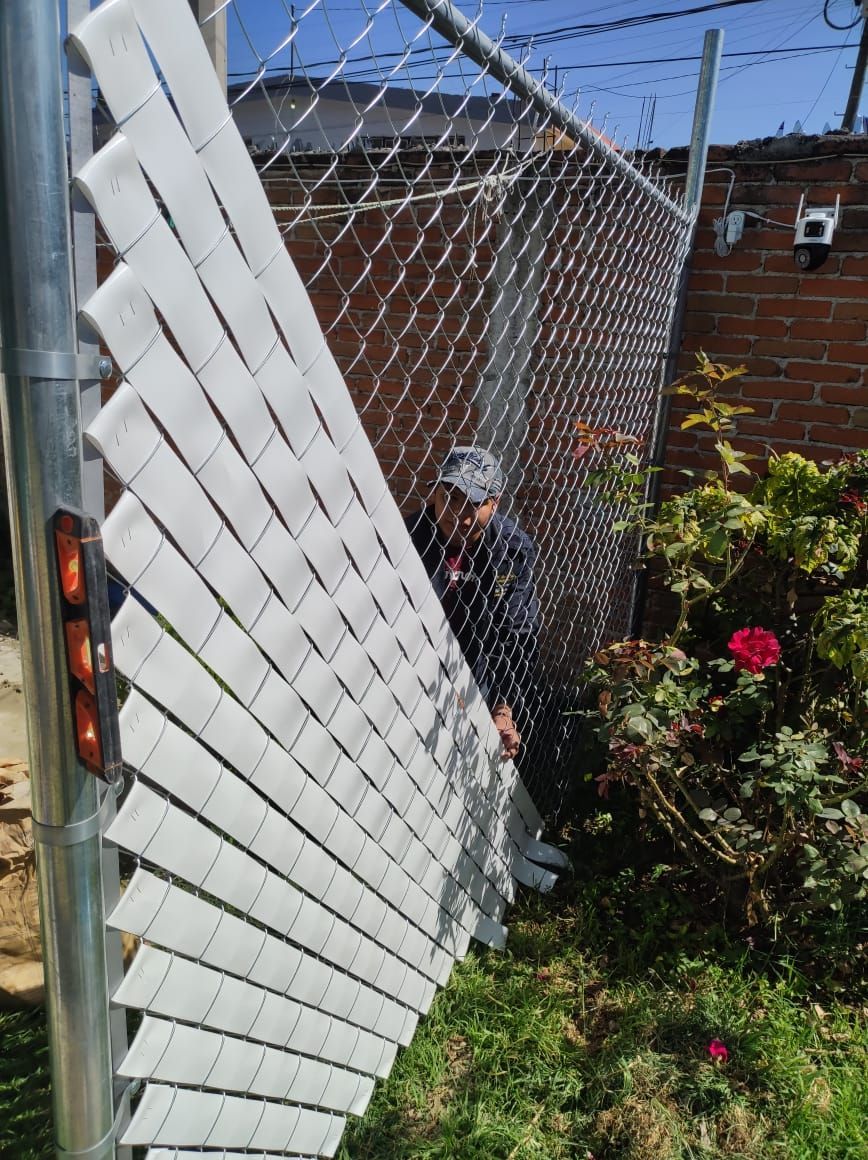 Una persona está agachada detrás de una valla de alambre cubierta de listones blancos en un patio con césped y una pared de ladrillos.