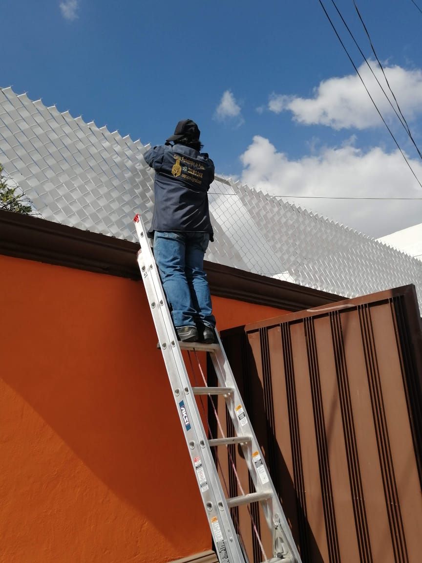 Persona en una escalera arreglando algo en un techo plateado, al lado de una canaleta y una puerta marrones, pared naranja, cielo azul.