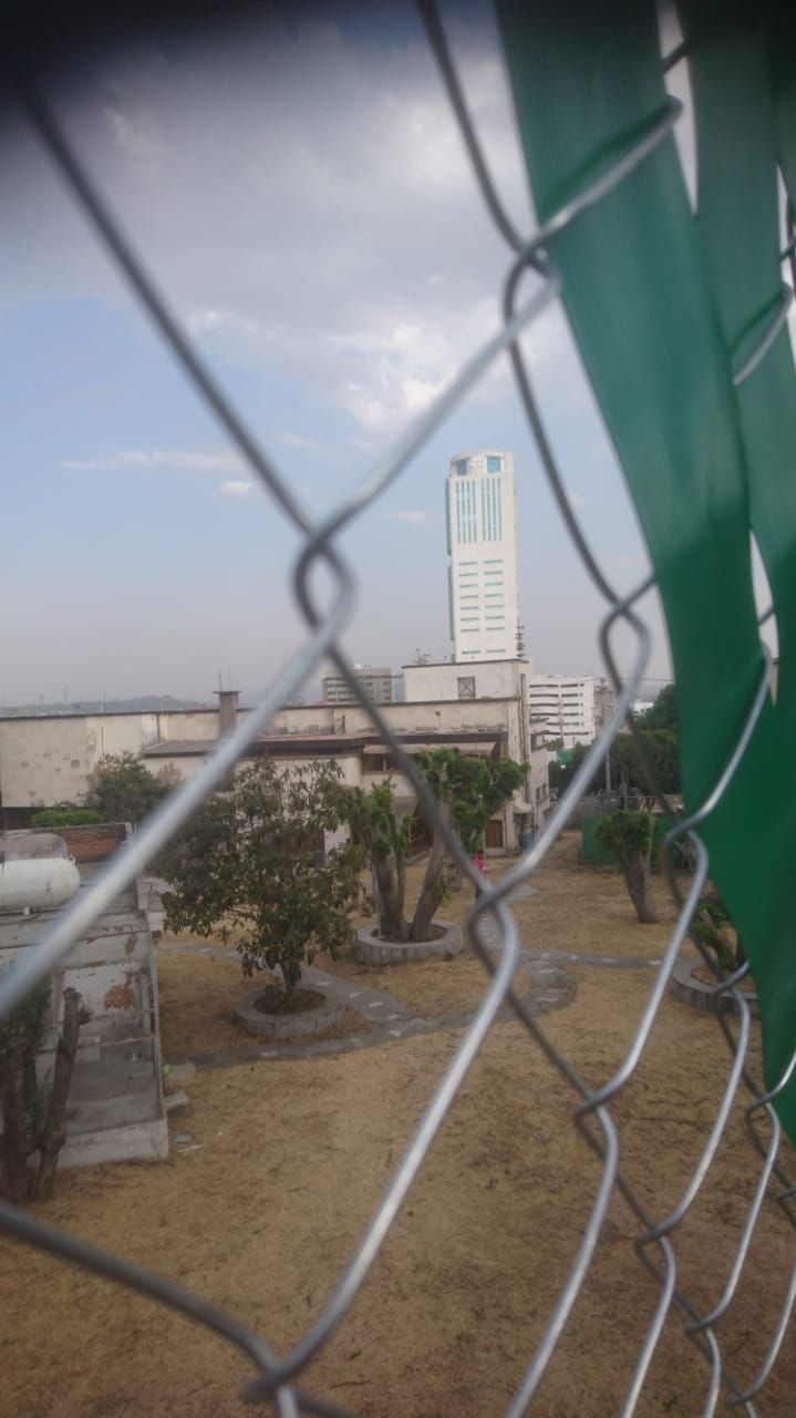 Un edificio alto y moderno visible a través de una valla verde. Al fondo, el cielo y los árboles.