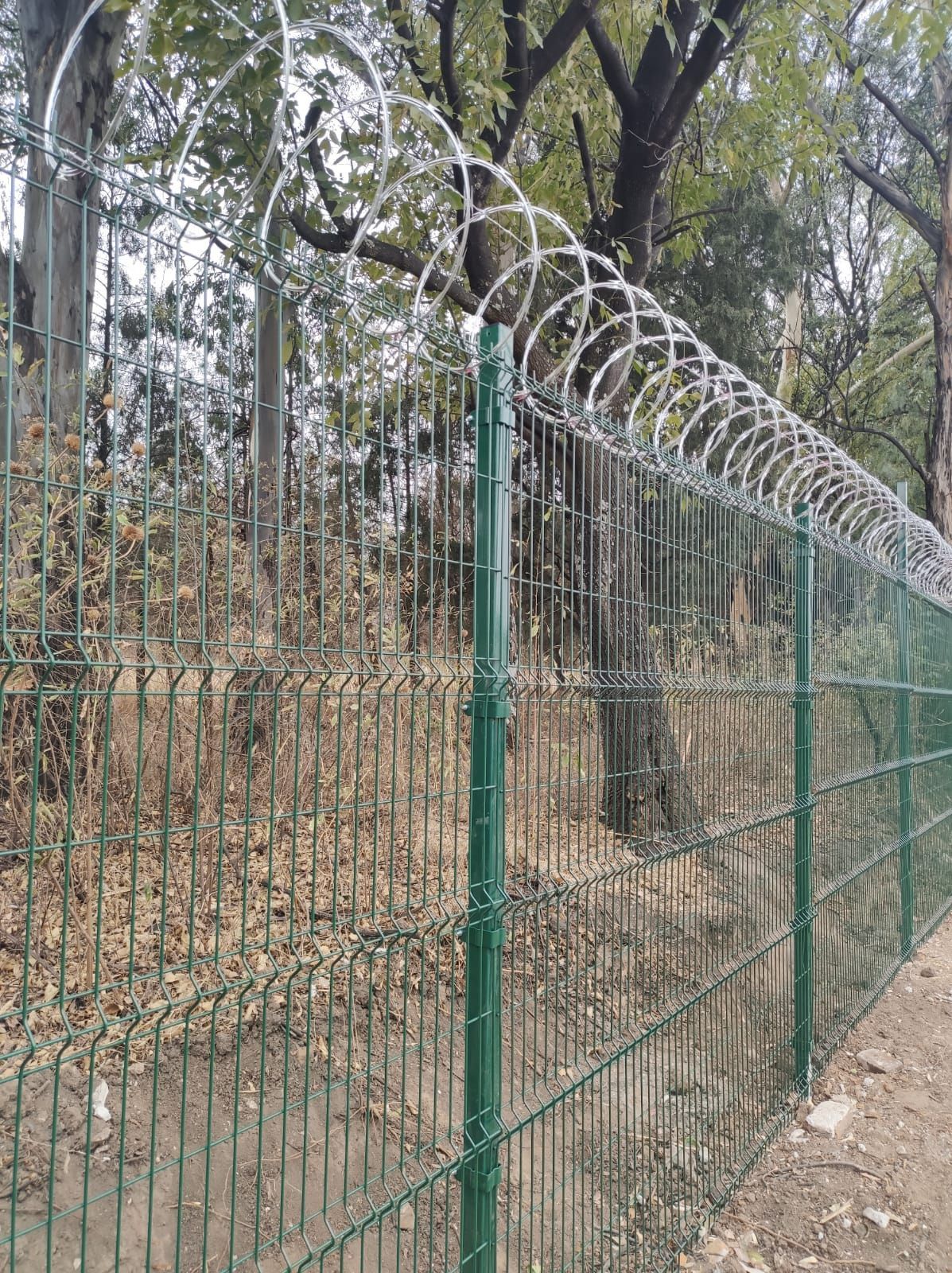 Valla metálica verde rematada con alambre de púas, en zona boscosa.