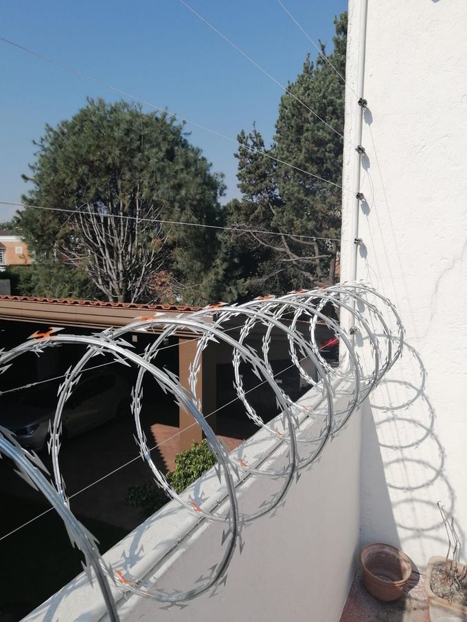 Valla de seguridad de alambre de púas sobre una pared blanca, con árboles y un cielo azul de fondo.