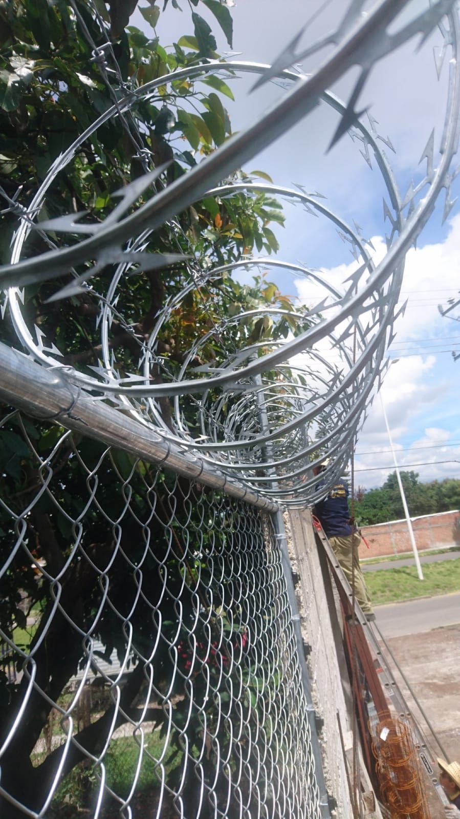 Cerca de alambre de eslabones de cadena rematada con bobinas de alambre de púas; entorno exterior con follaje y cielo visibles.