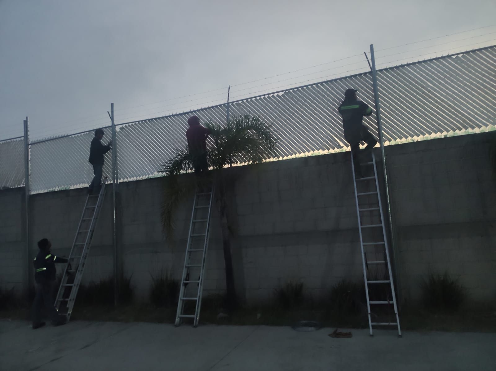 Cuatro personas en escaleras instalando una cerca de alambre a lo largo de una pared.