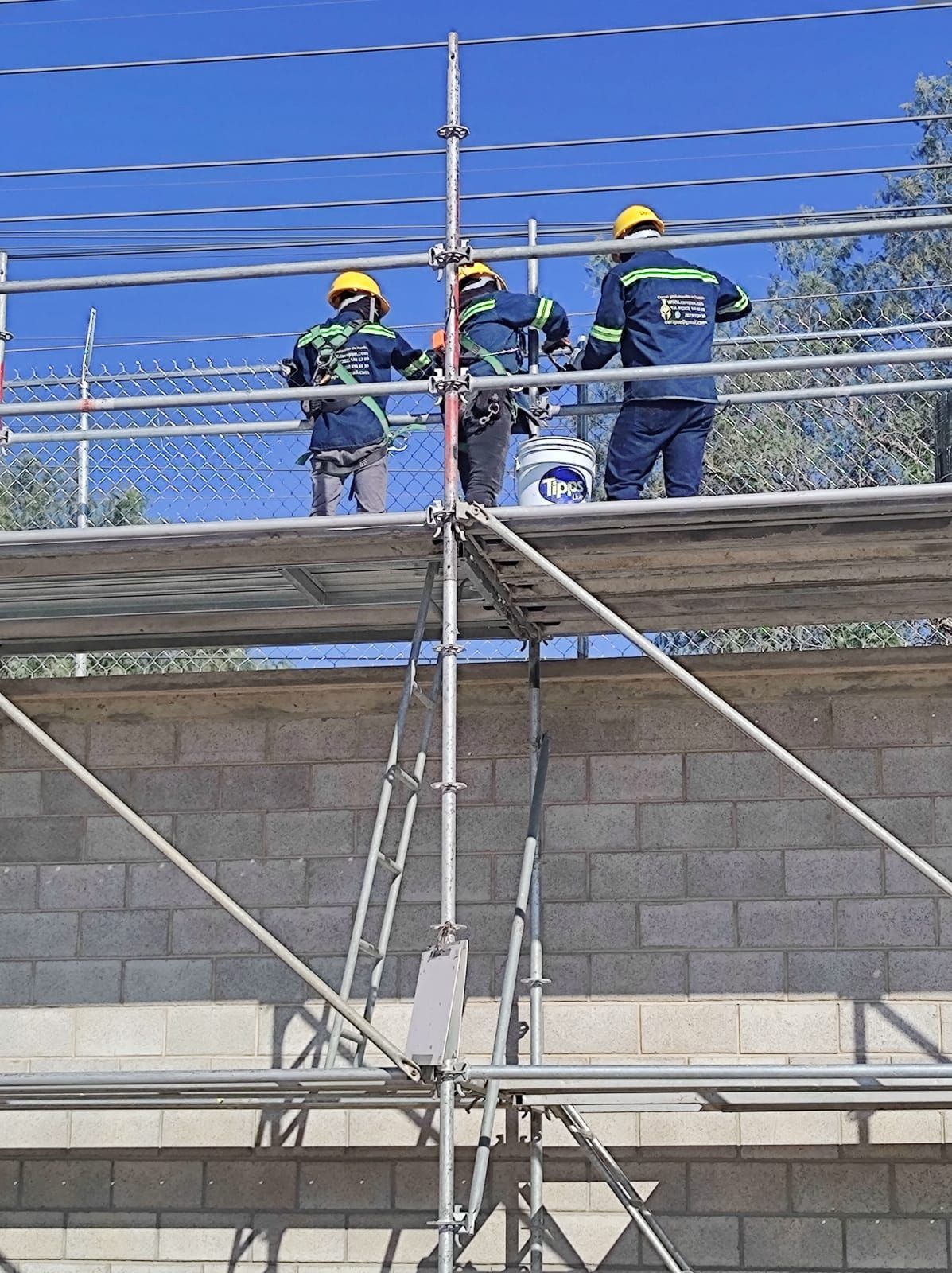 Tres trabajadores de la construcción en un andamio, con cascos, trabajando en un muro al aire libre.