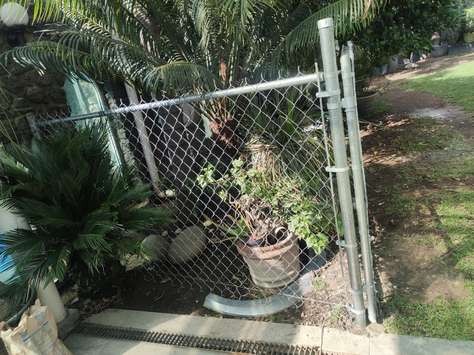 Valla de alambre que rodea las plantas de un patio, con palmeras y plantas en macetas visibles.