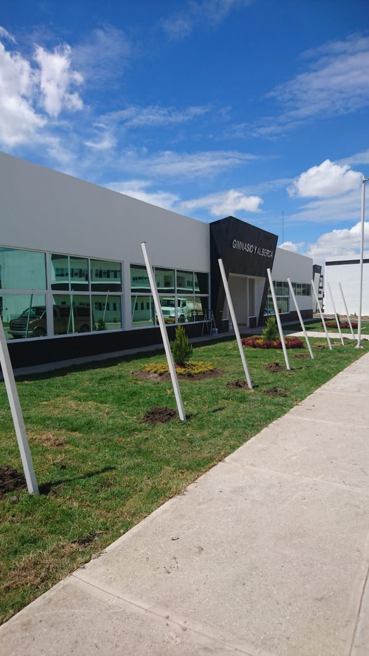 Exterior de un edificio moderno con una entrada con detalles en negro, ventanas teñidas de verde y un césped bajo un cielo azul.CEPROPUE