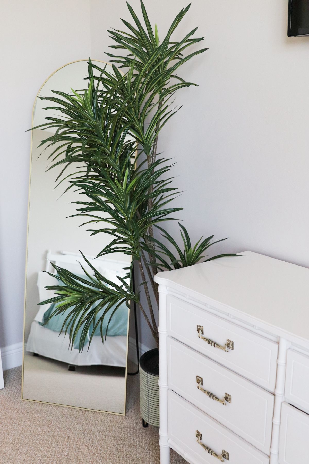 Tall houseplant next to a full-length mirror and white dresser in a room with a light carpet.