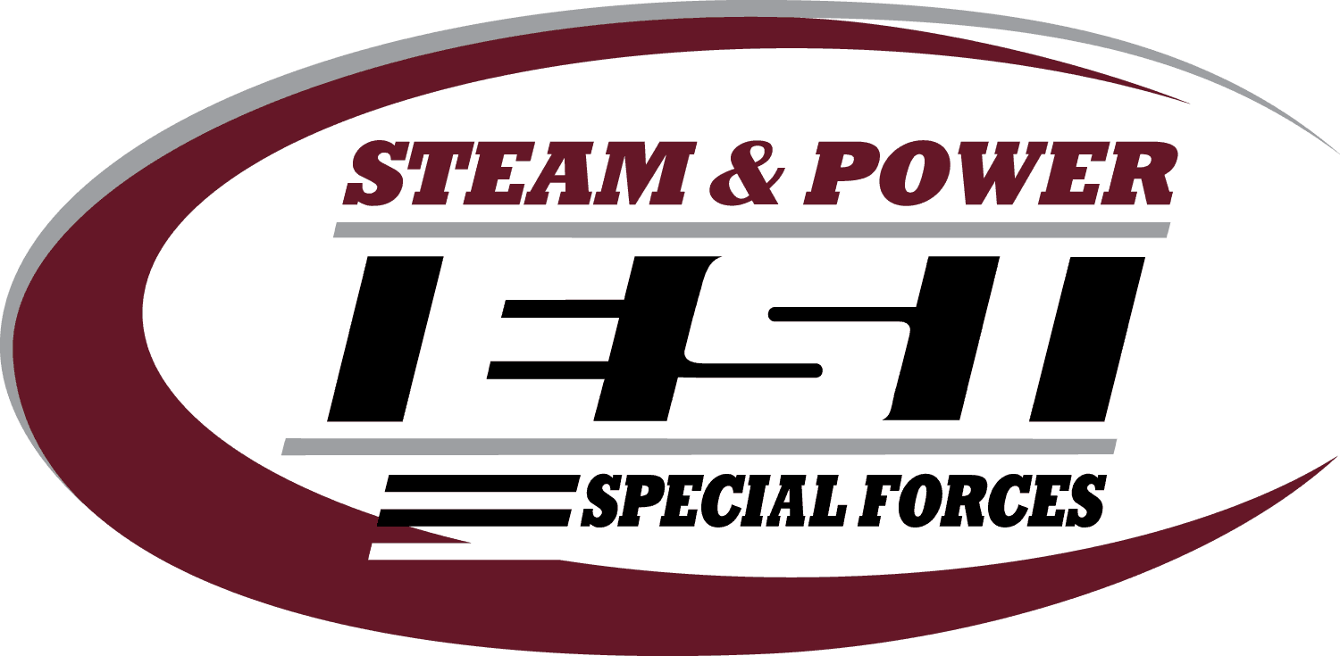 Номер пауэр. Пауэр ИНЖИНИРИНГ. Special Powers. Esi logo. Special Power фото.