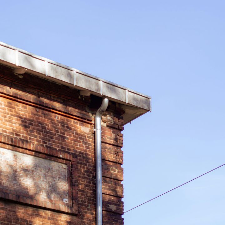 gutter cleaning, safe, and fully insured