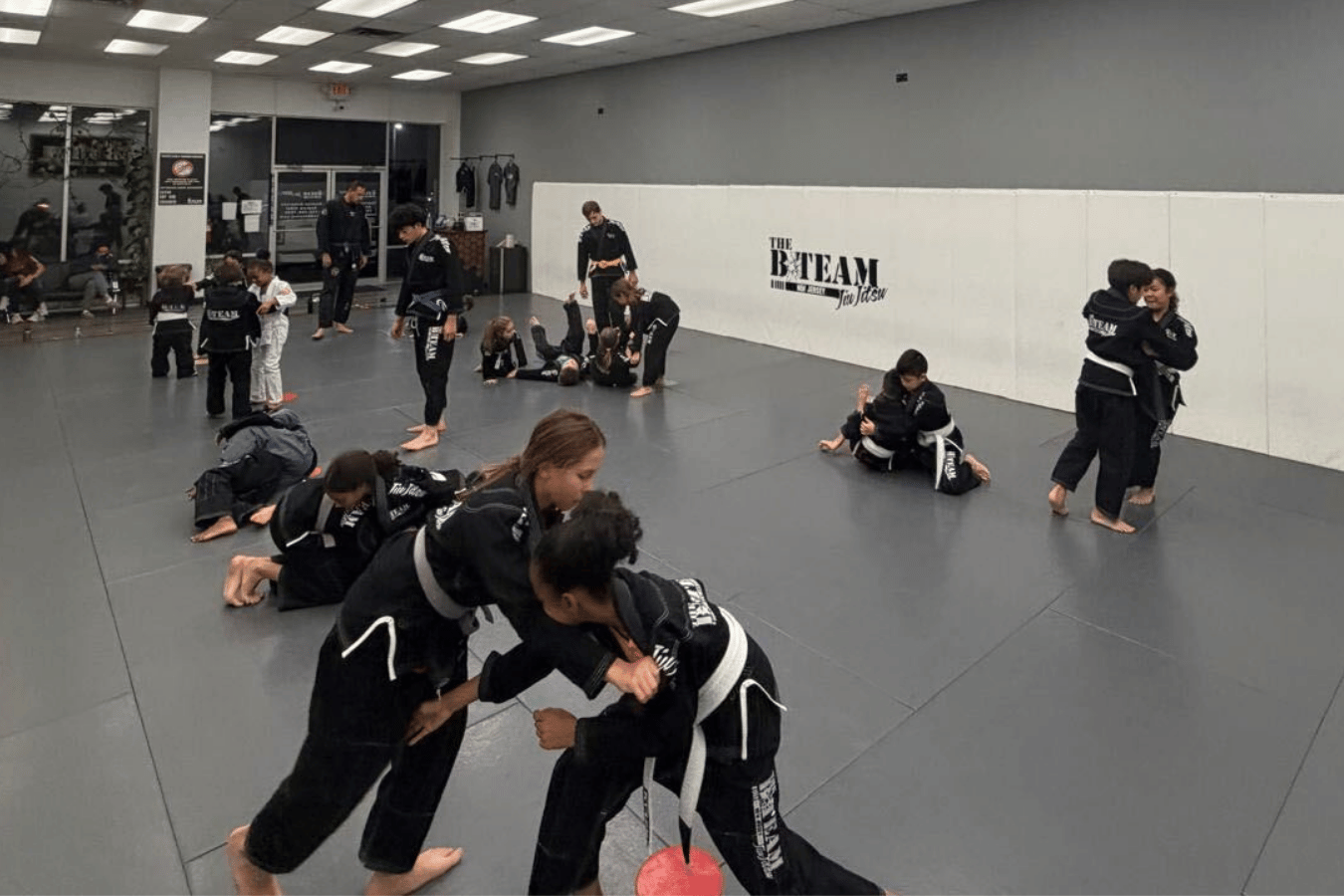 All In Jiu-Jitsu