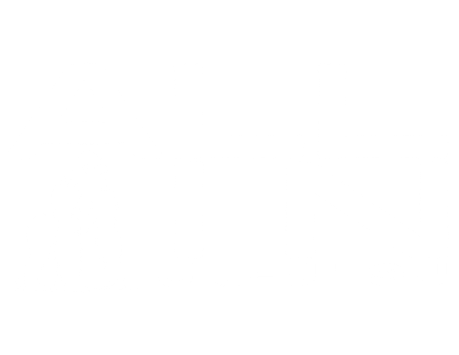 All In Jiu-Jitsu
