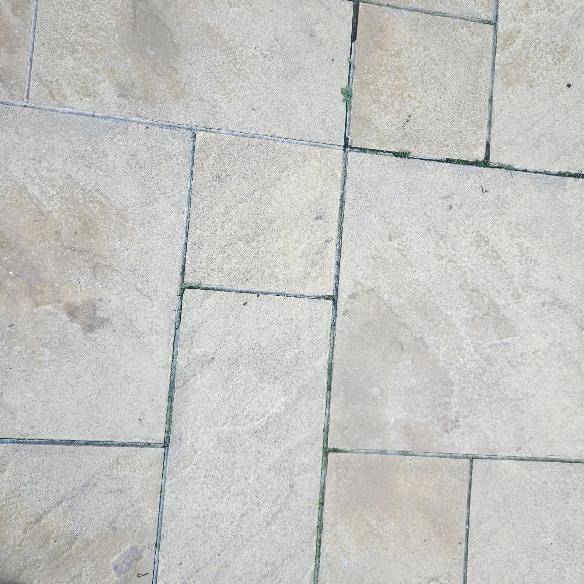 Light beige stone patio pavers with dark grout, some with small weeds.
