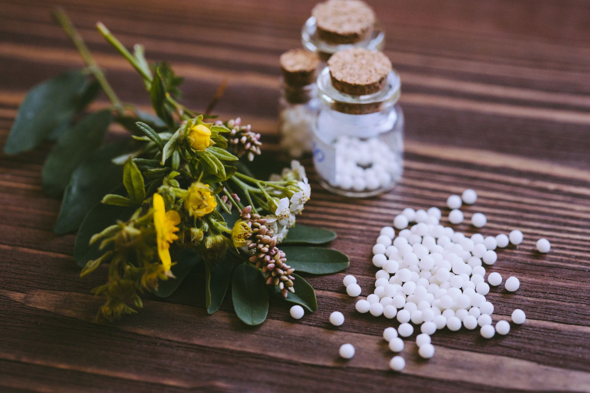 Fitoterapia e omeopatia