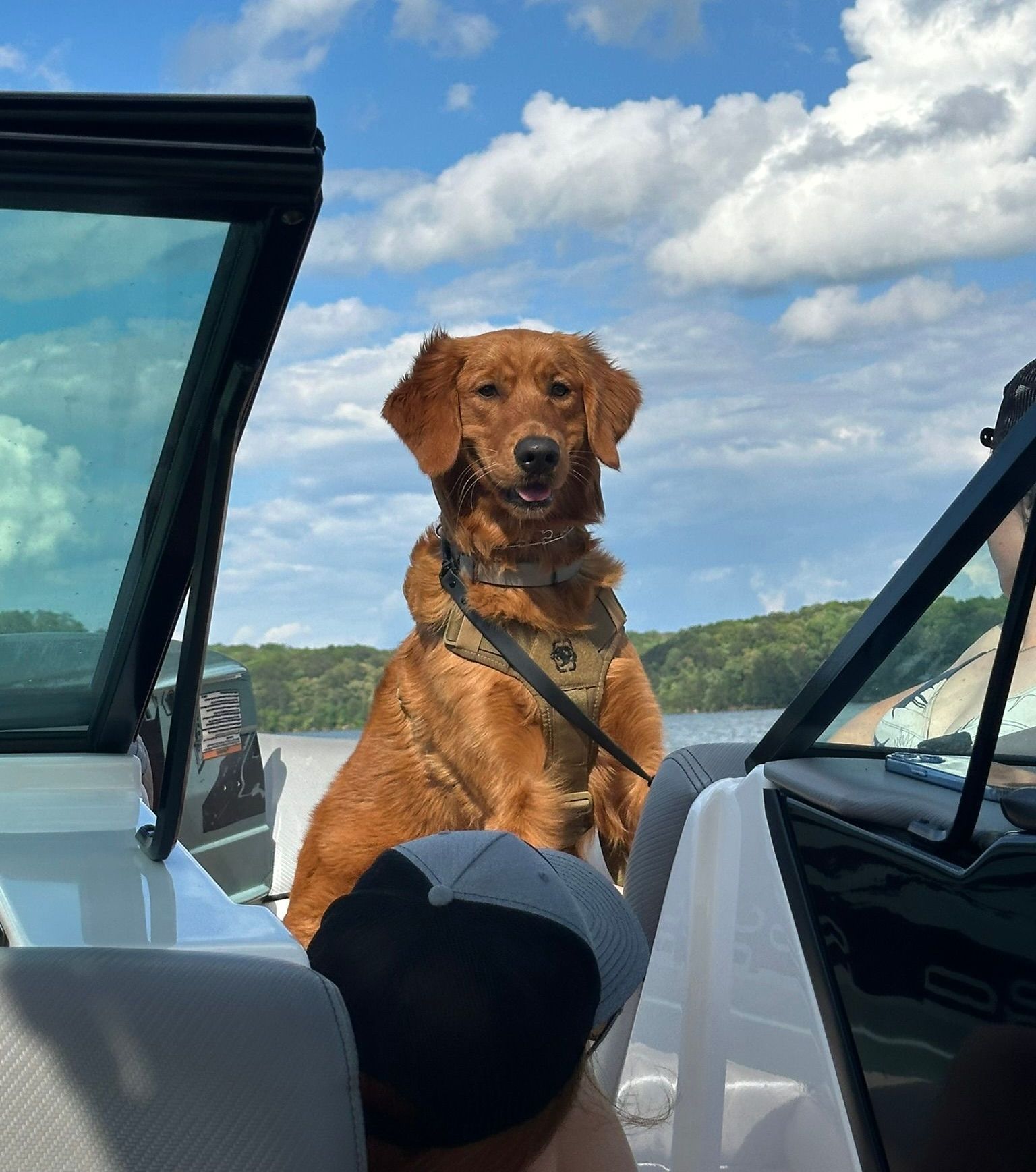 A dog is sitting in the back seat of a boat