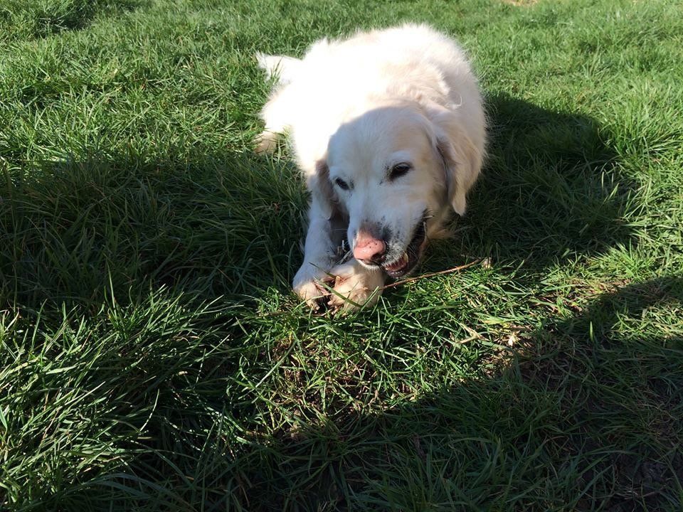 Enjoying a treat outside