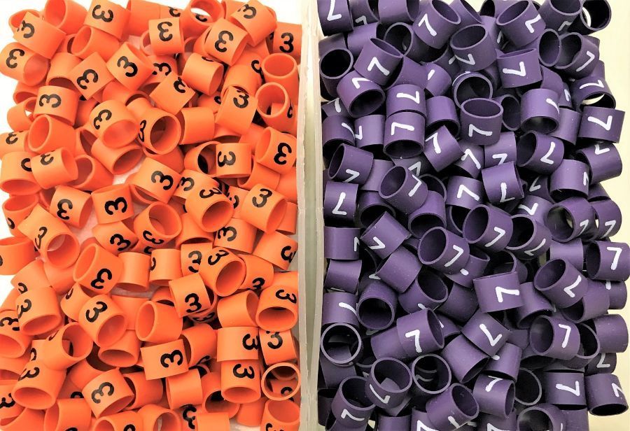 Identimark white printed heatshrink hose labels