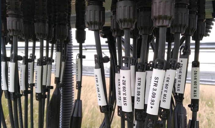 Identimark Pre-Printed Budget Cable Tie Label