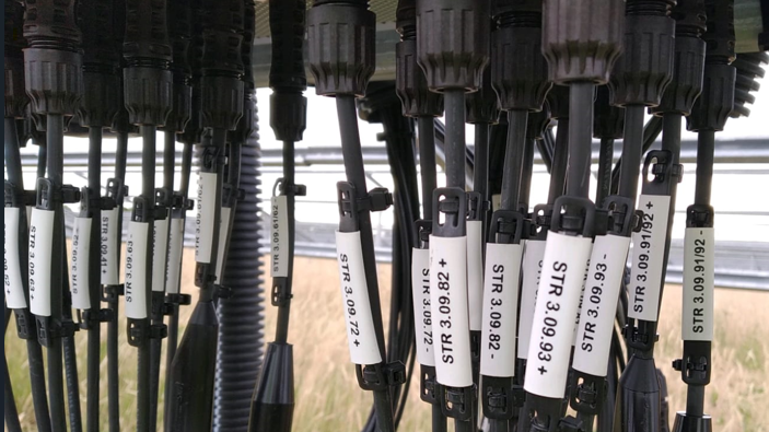 Identimark Pre-Printed Budget Cable Tie Label