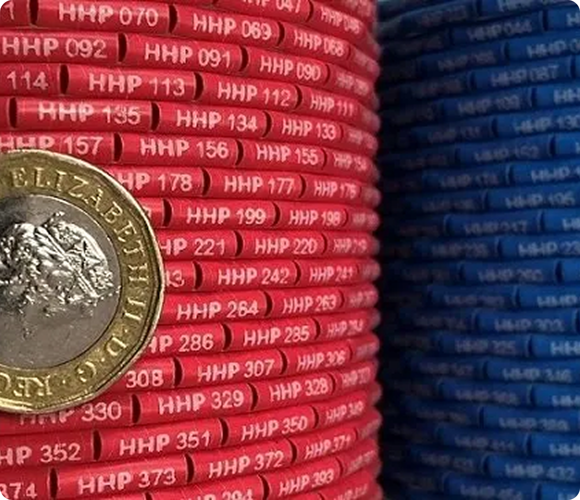 Identimark hedgehog labels in red and blue