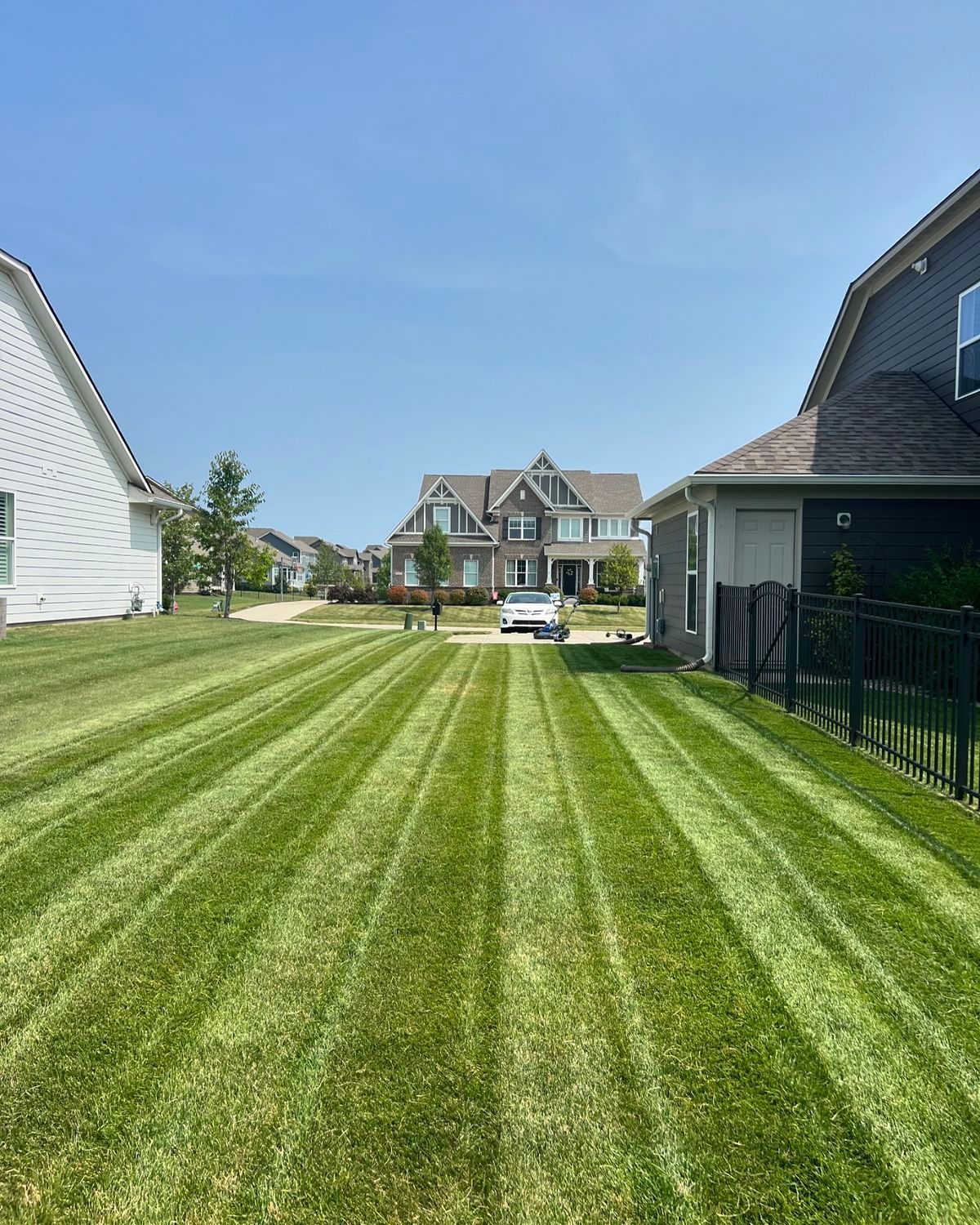 A suburban yard with freshly mowed, striped grass leading to a street with a house and a car in the distance.