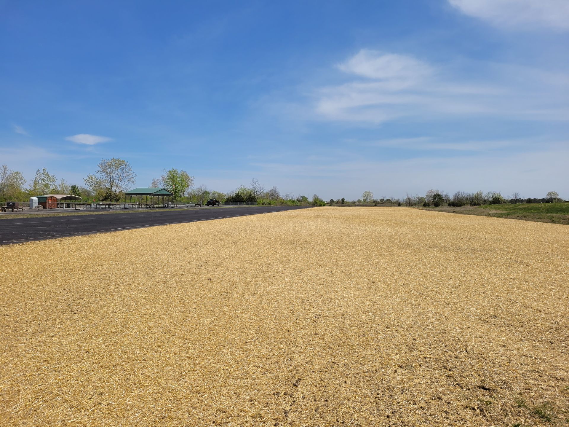 A vast, flat, yellow-brown field under a bright blue sky, bordered by an asphalt road and distant trees.