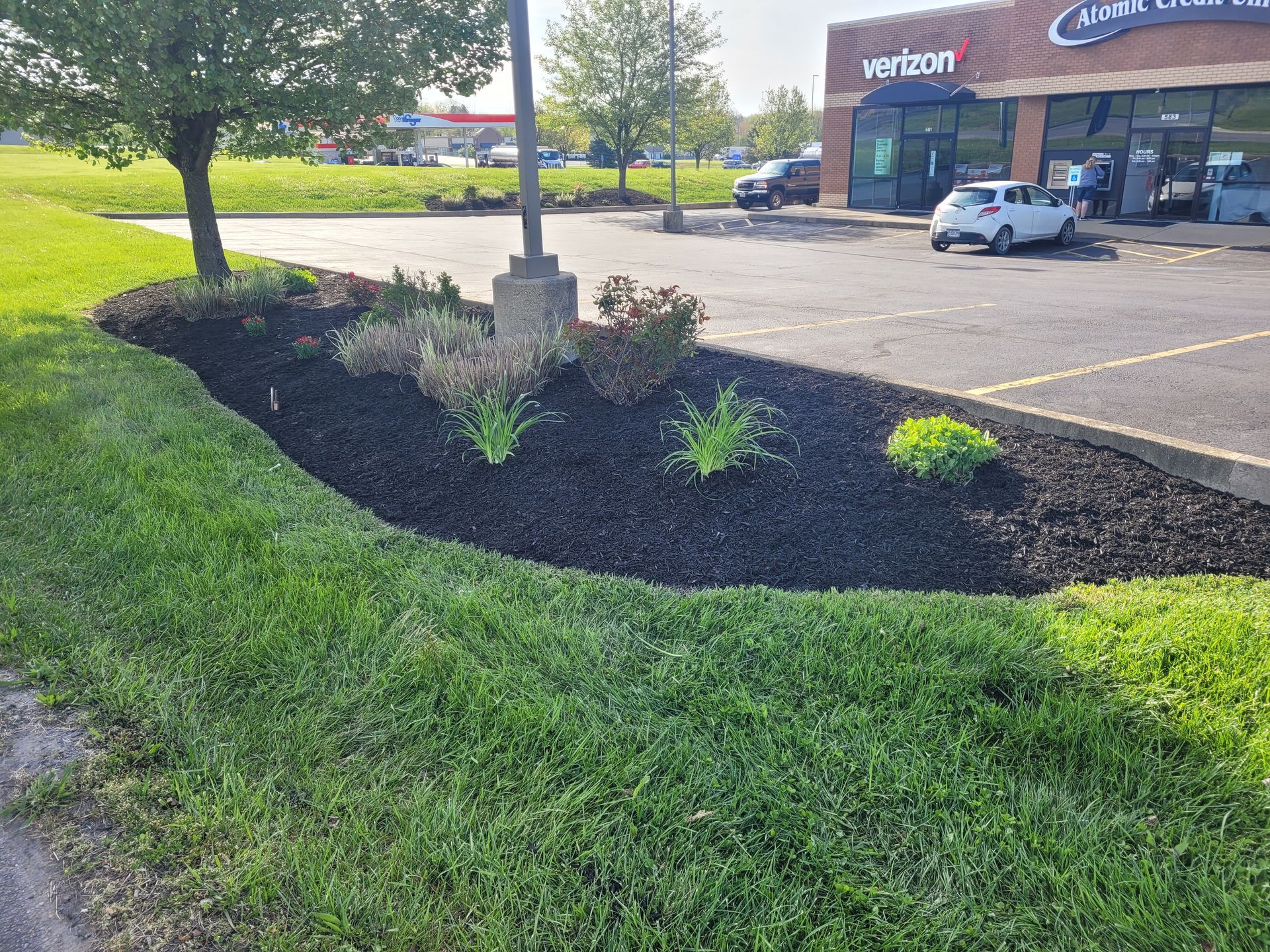A landscaped garden bed with mulch and small plants next to a paved parking lot with a Verizon store in the background.