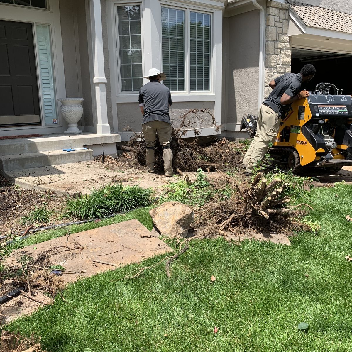 Two workers remove a large root ball from a front garden bed using a yellow skid-steer loader near a house.