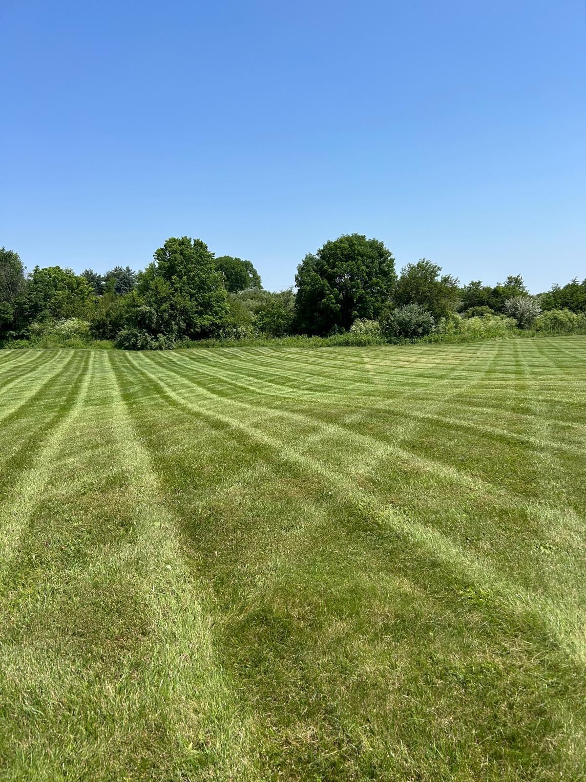 A lush green field with diagonal lawn mower stripes under a clear blue sky, bordered by trees in the distance.