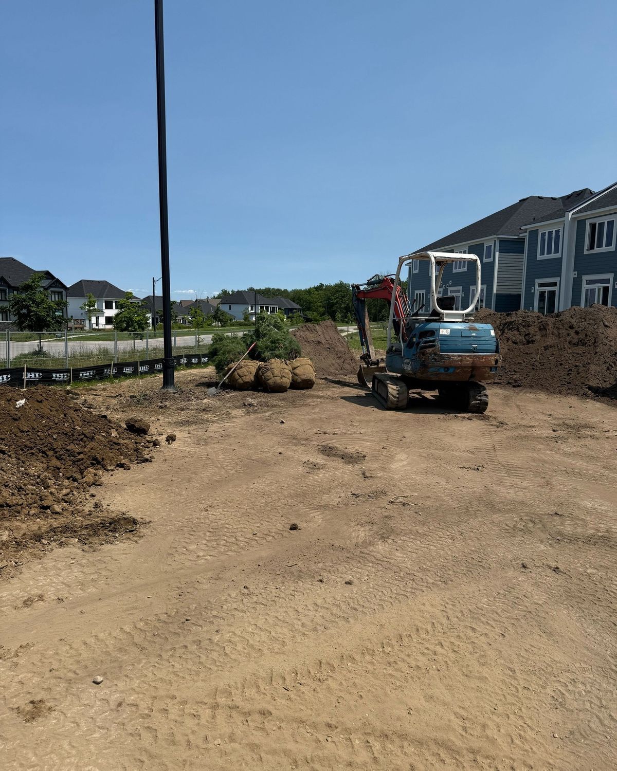 A small excavator sits in a dirt lot next to a row of balled-and-burlapped evergreen trees near residential homes.