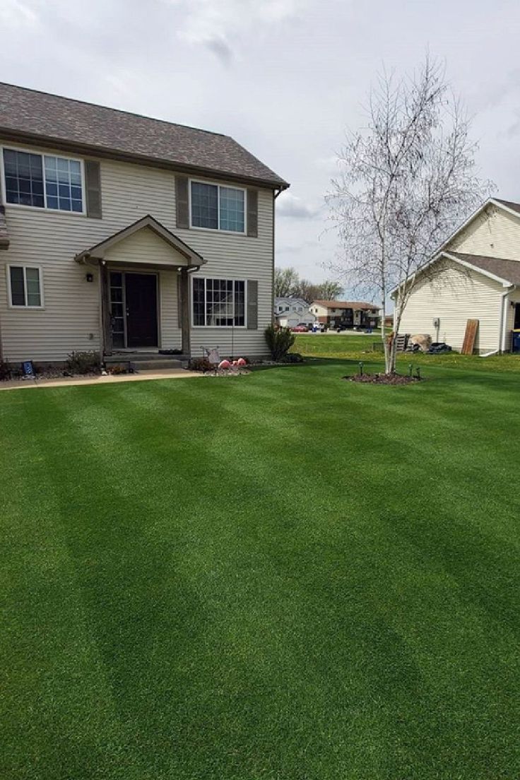 A two-story tan house with a manicured, striped lawn and a white-barked tree in the front yard.