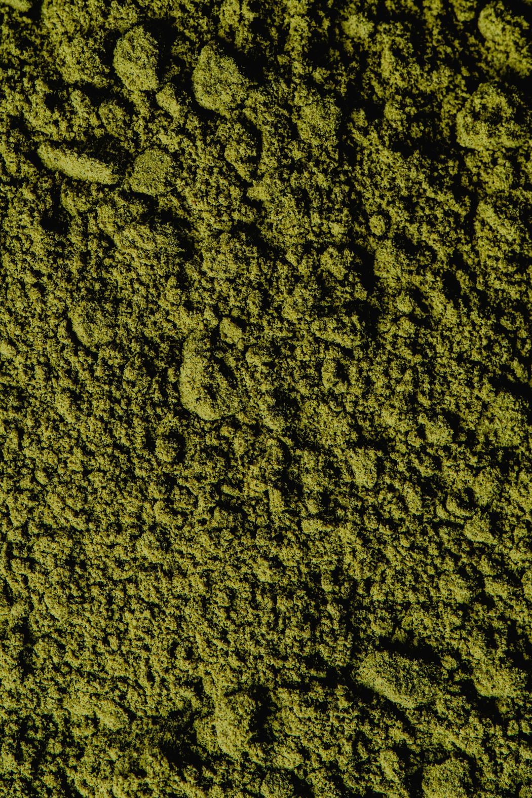 Close-up view of dark green cardamom powder with a coarse, textured appearance.