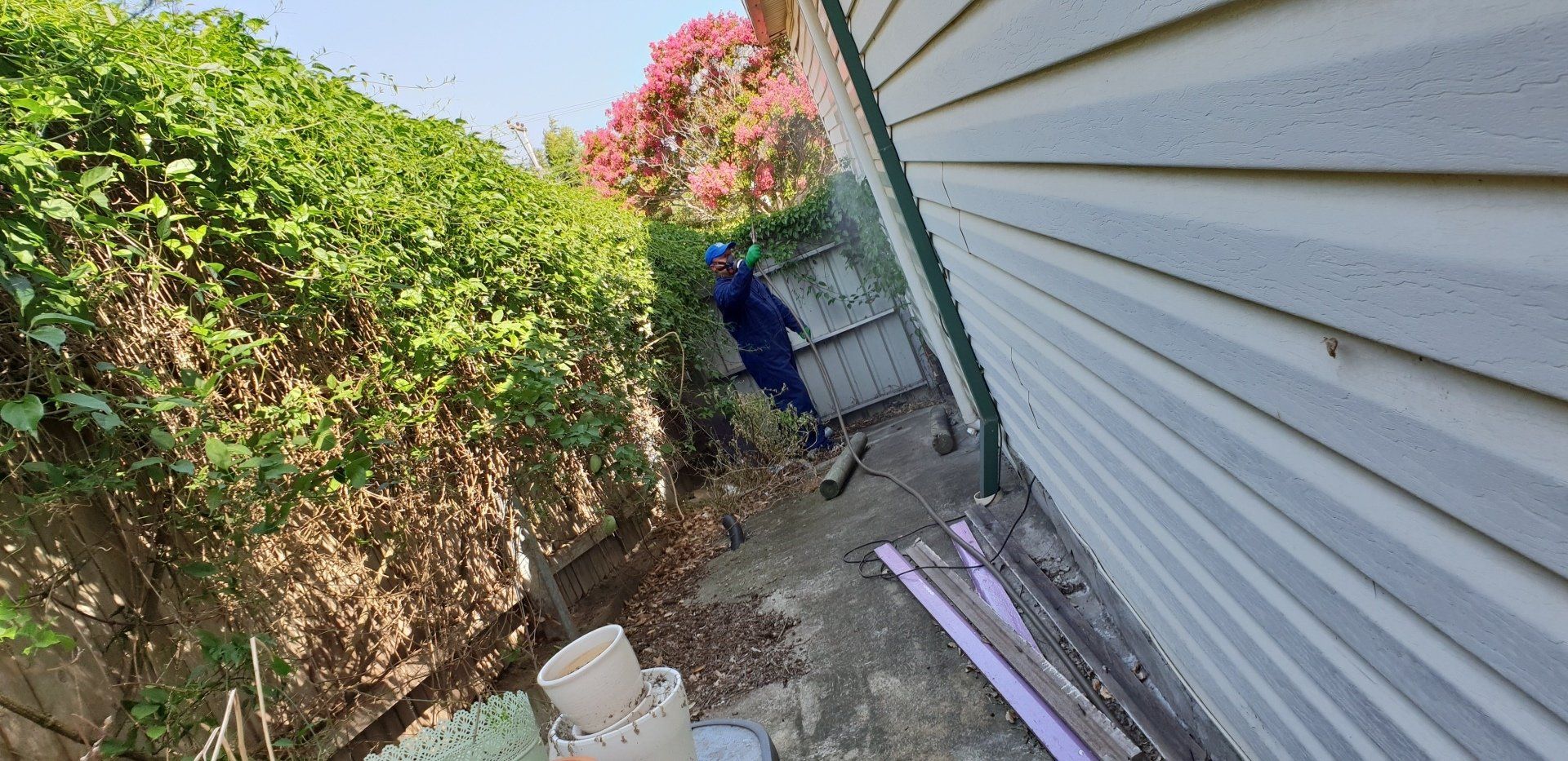 Dan’s Pest Control Pest Control Services in Wollongong