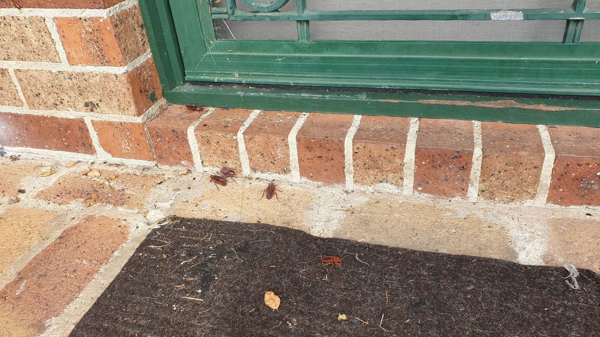 There Is A Fireplace In The Middle Of The Room — Dan's Pest Control in Kiama, NSW