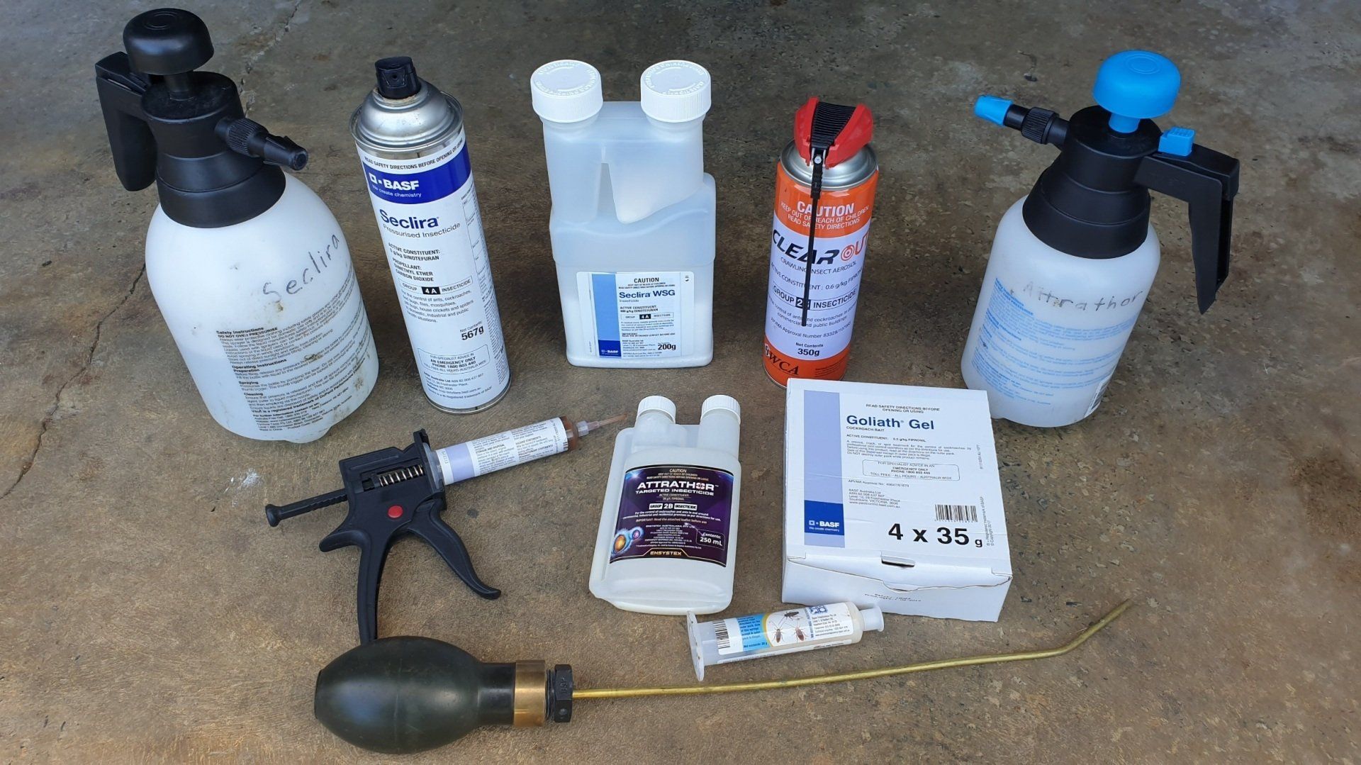 Spraying Pesticide — Dan’s Pest Control  in Woonona, NSW