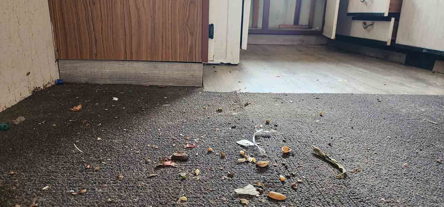 There Is A Lot Of Trash On The Floor In The Kitchen — Dan's Pest Control in Albion Park, NSW