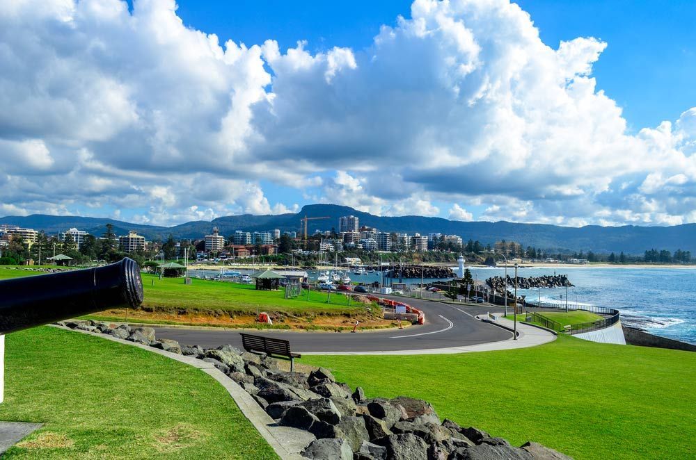 A Cannon Is Pointing At The Ocean And A City In The Background — Dans Pest Control in Dapto, NSW