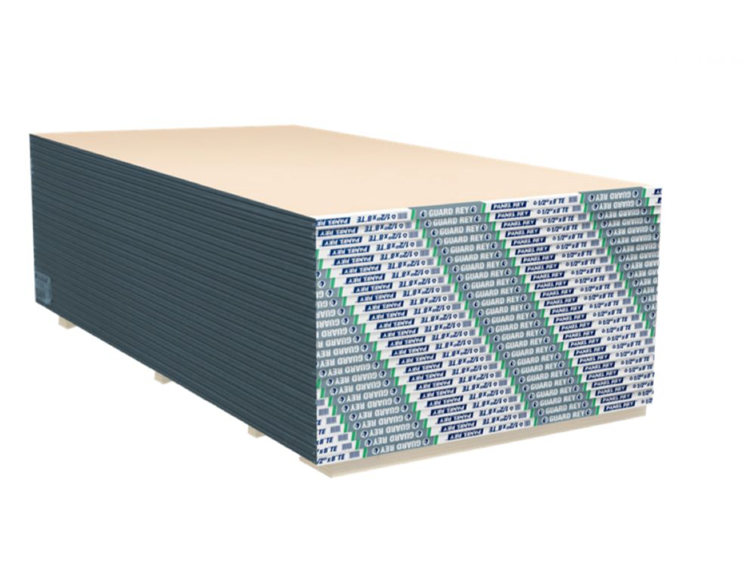 PANEL REY GUSTAVO BAZ CONSTRU LITHG