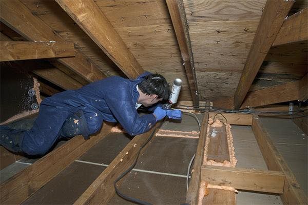 Interior view of attic with wooden beams and insulation.