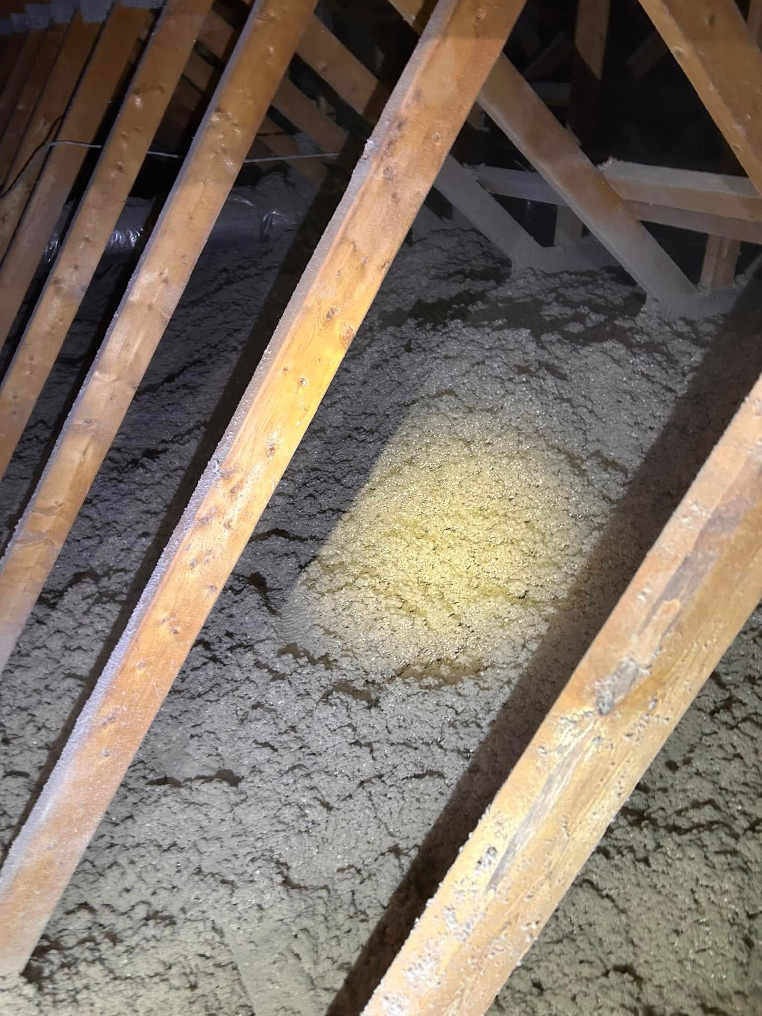Attic space with exposed wooden beams and light-colored insulation filling the gaps.