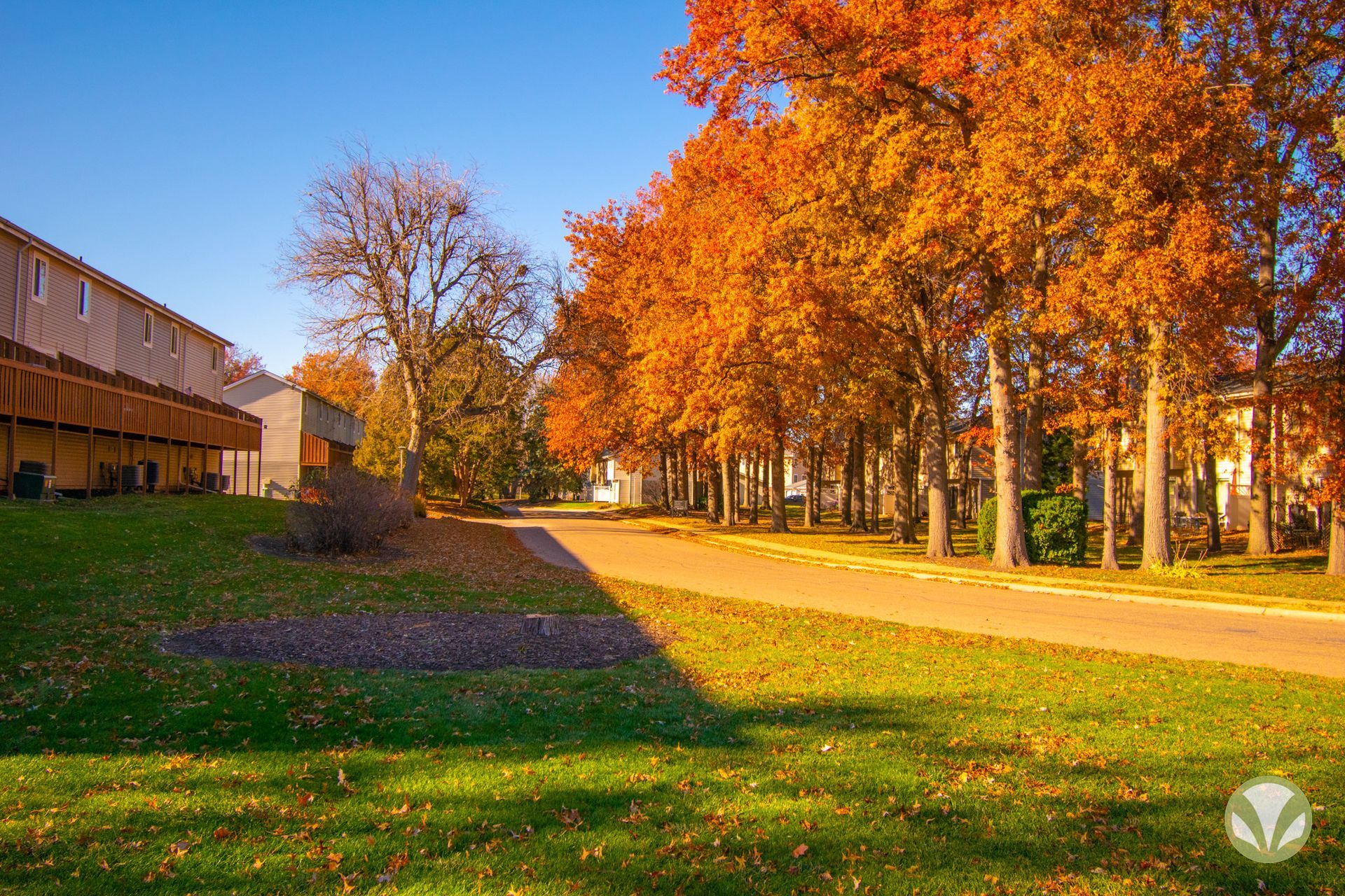 Charleston Court - Image 1
