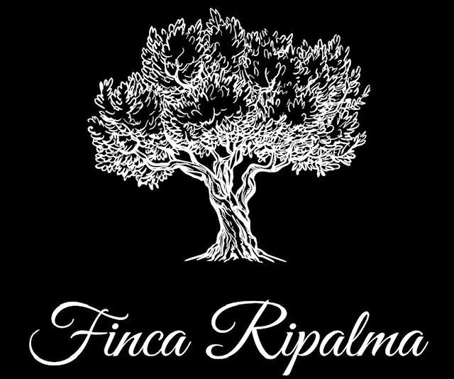 Witte tekening van een knoestige boom boven de tekst