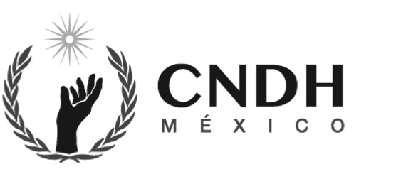 Comisión Nacional de los Derechos Humanos