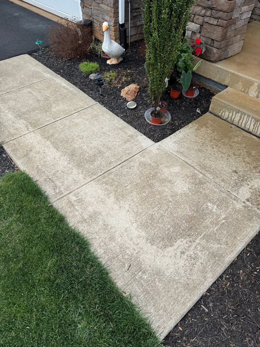 Concrete walkway leads to a house entrance, next to grass and a flower bed with plants and a duck statue.