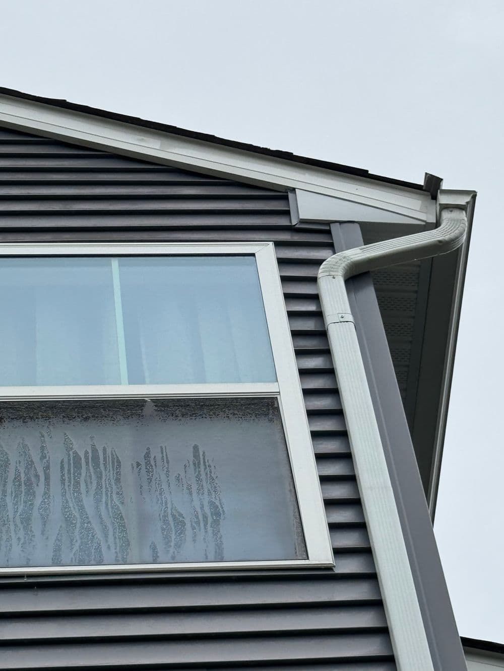 Gray house siding, white-framed window with condensation, and a gutter.