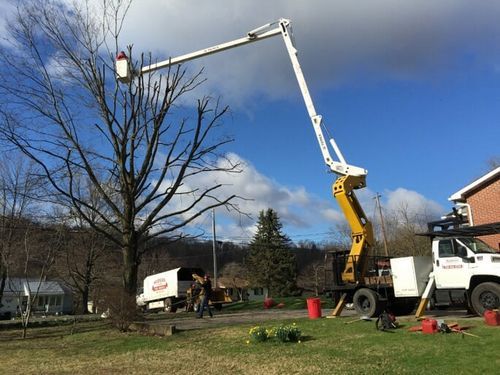 Gallery 2 — Tree Care by Hudson & Sons Tree Service in Enon Valley, PA