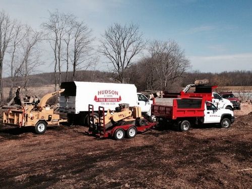 Gallery 11 — Tree Care by Hudson & Sons Tree Service in Enon Valley, PA