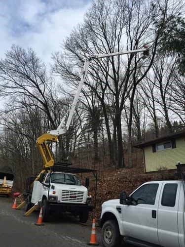 Gallery 18 — Tree Care by Hudson & Sons Tree Service in Enon Valley, PA