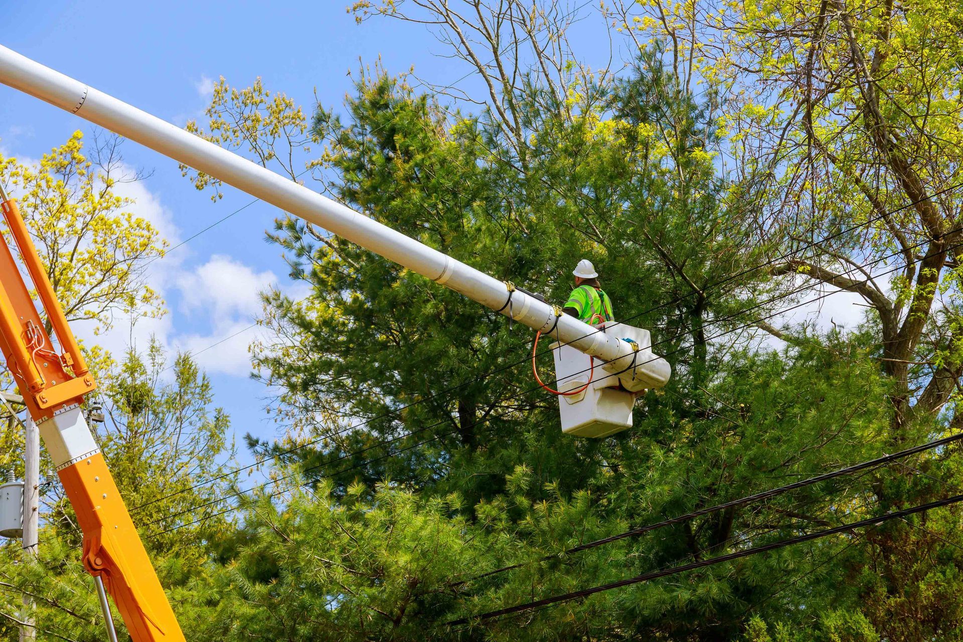 Professional tree service worker in a bucket truck trimming branches near overhead power lines.