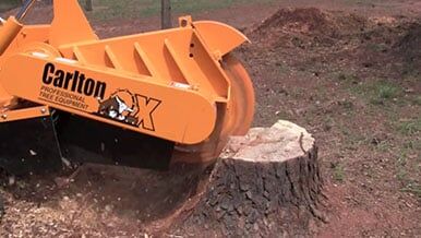 Firewood — Tree Care by Hudson & Sons Tree Service in Enon Valley, PA Firewood — Tree Care by Hudson & Sons Tree Service in Enon Valley, PA